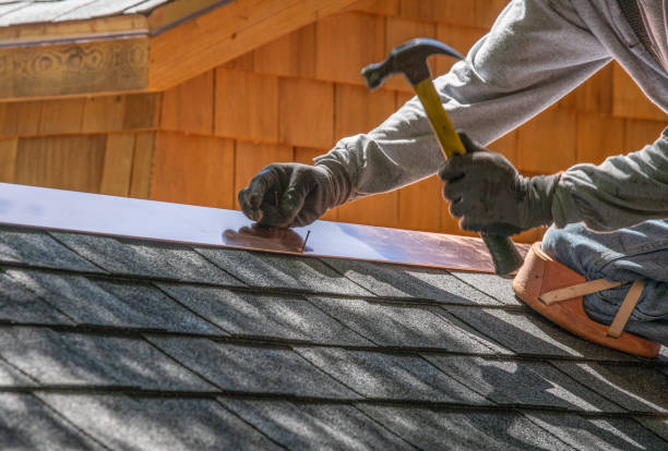 Professional  Roofing repair and installation in Bonita, CA